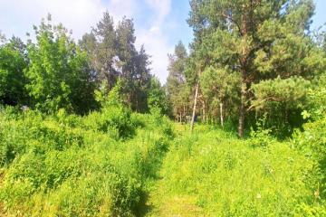 Фото №3: Земельный участок 1483.85 сот. - Средний Дукмасов, ул. Луговая, 7