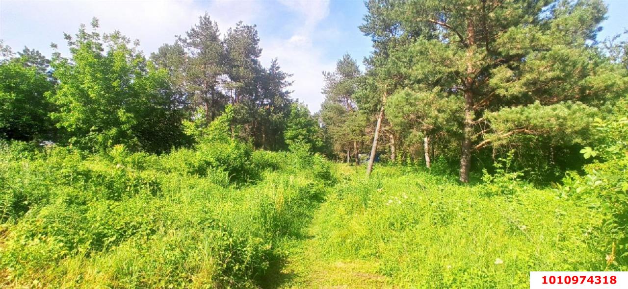 Фото №3: Земельный участок 1483.85 сот. - Средний Дукмасов, ул. Луговая, 7