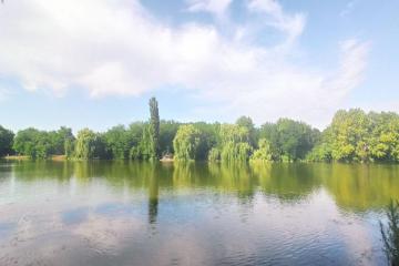 Фото №1: Земельный участок 1483.85 сот. - Средний Дукмасов, ул. Луговая, 7