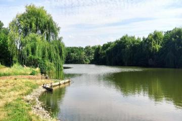 Фото №2: Земельный участок 1483.85 сот. - Средний Дукмасов, ул. Луговая, 7