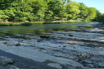 Фото №2: Земельный участок 7.48 сот. - Убинская, ул. Центральная, 7Б