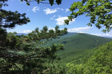 Фото №5: Земельный участок 7.48 сот. - Убинская, ул. Центральная, 7Б