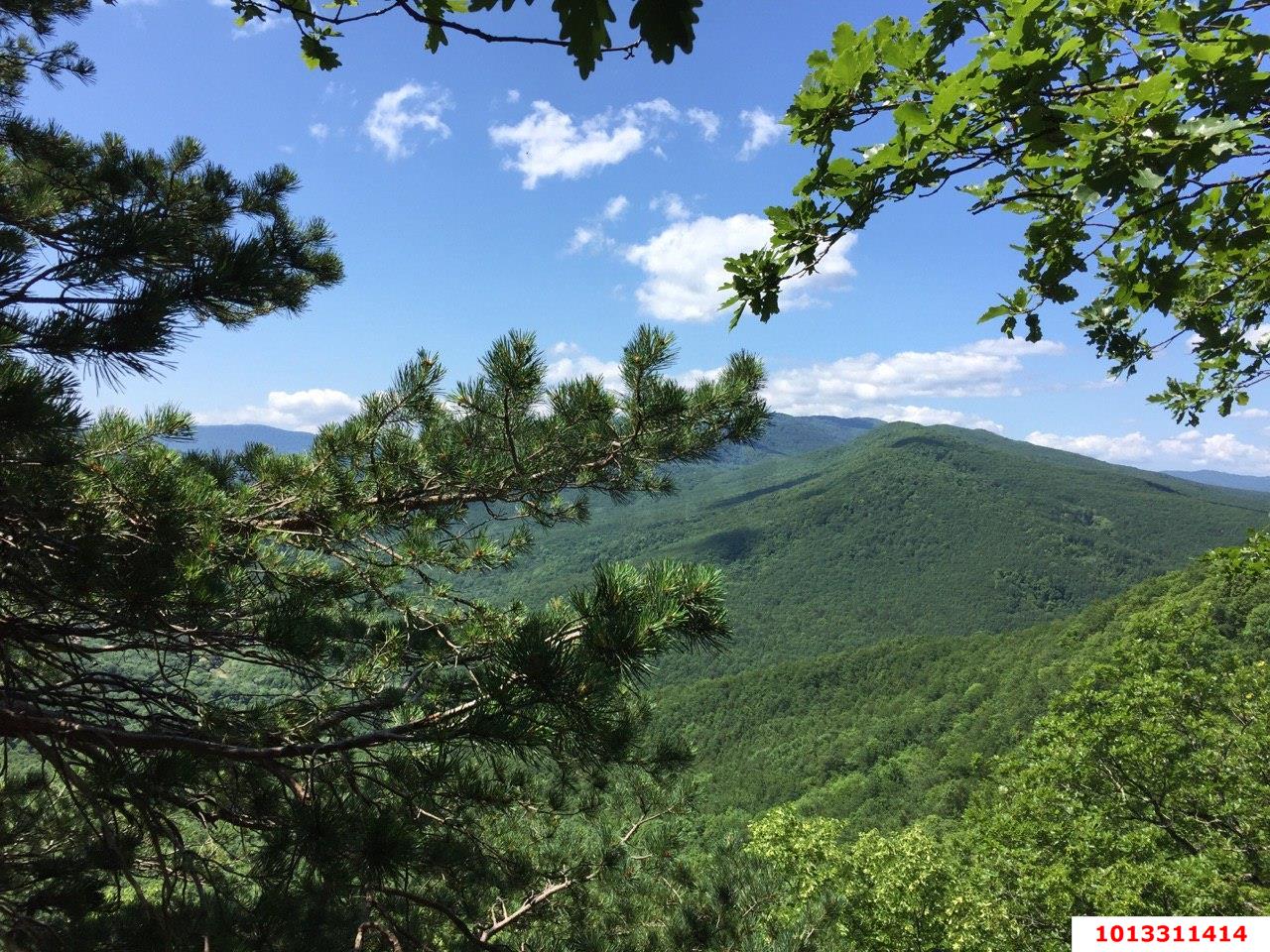 Фото №5: Земельный участок 7.48 сот. - Убинская, ул. Центральная, 7Б