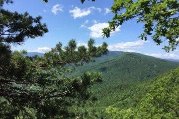 Фото №5: Земельный участок под ИЖС 7.48 сот. - Убинская, ул. Центральная, 7Б