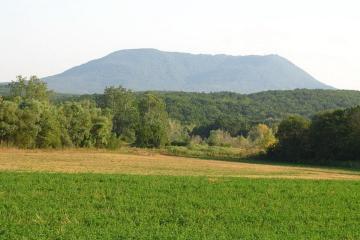 Фото №3: Земельный участок 7.48 сот. - Убинская, ул. Центральная, 7Б