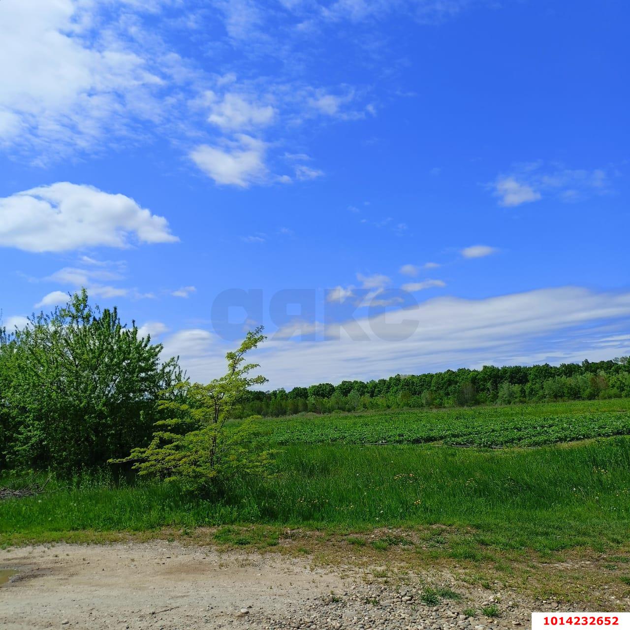 Фото №4: Коммерческая земля 21 сот. - Республика Адыгея (Адыгея) Тахтамукайский район