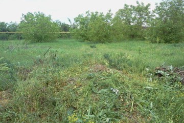 Фото №2: Участок садоводство 5.2 сот. - Елизаветинская, ст Градостроитель, ул. Ореховая, 678