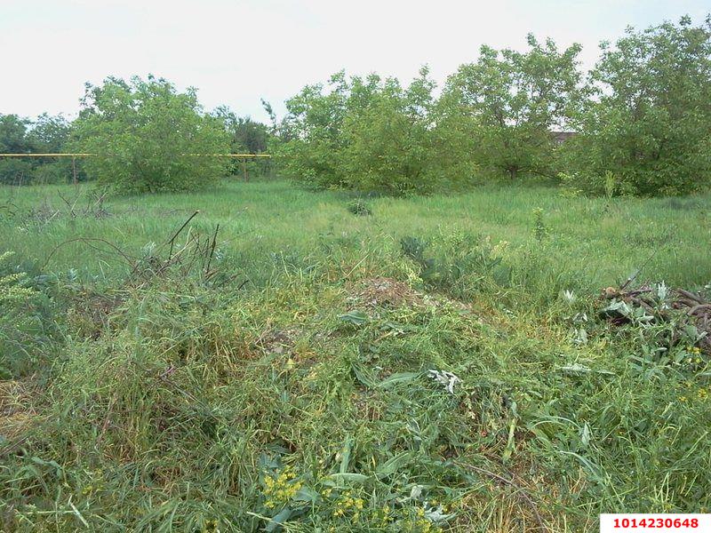 Фото №2: Личное подсобное хозяйство - Елизаветинская, ул. Ореховая, 678