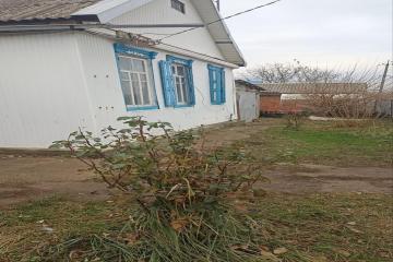 Фото №2: Дом 46 м² - Шевченко, ст Солнышко, ул. Ленина, 5