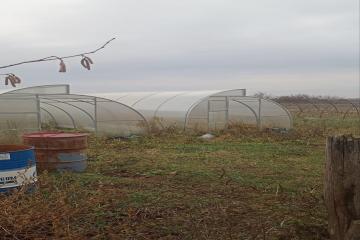 Фото №5: Дом 46 м² - Шевченко, ст Солнышко, ул. Ленина, 5