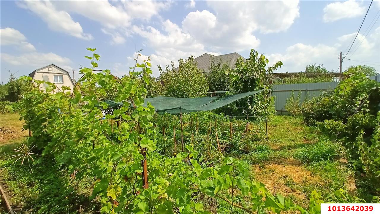 Фото №9: Участок садоводство 5.55 сот. - Родник, Прикубанский внутригородской округ, ул. Солнечная, 137