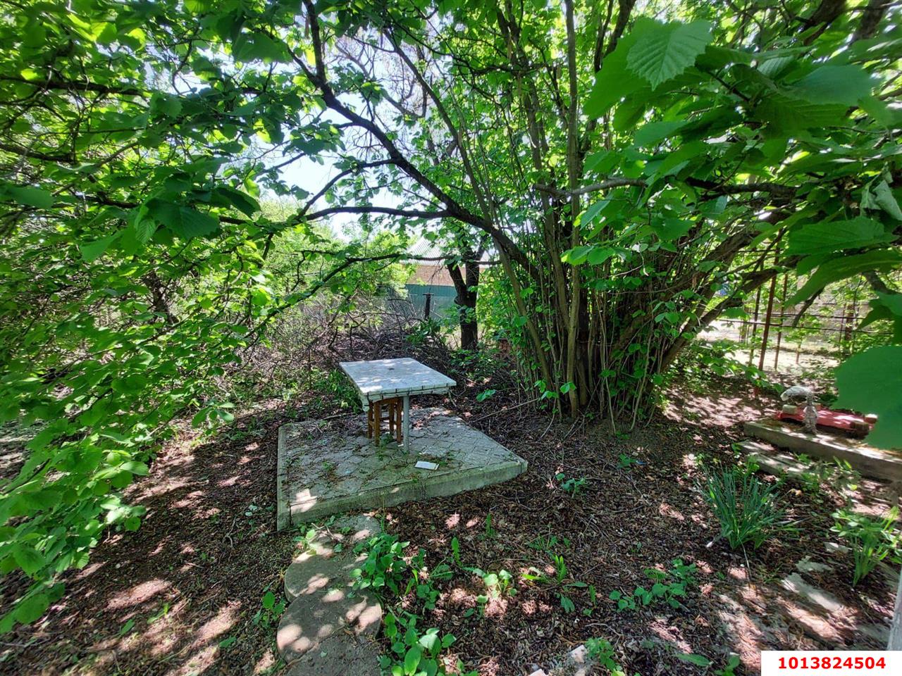 Фото №6: Участок садоводство 5.83 сот. - Тихорецк, Локомотив, ул. 2-я Линия, 48