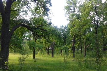 Фото №3: Дом 31 м² - Дорожник, мкр. Прикубанский внутригородской округ, ул. Крыжовниковая, 13