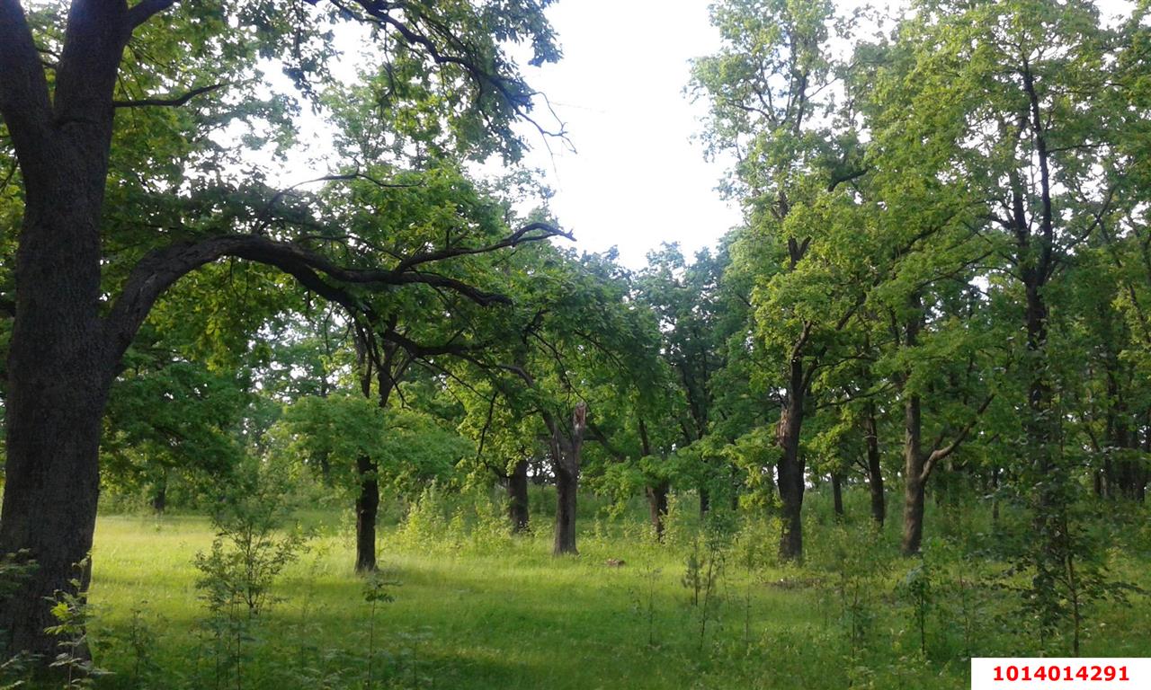 Фото №3: Дом 31 м² + 4 сот. - Дорожник, мкр. Прикубанский внутригородской округ, ул. Крыжовниковая, 13