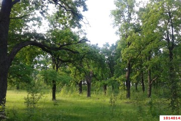 Фото №3: Дом 31 м² - Дорожник, мкр. Прикубанский внутригородской округ, ул. Крыжовниковая, 13