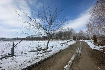 Фото №1: Земельный участок 5 сот. - Новотитаровская, ст Росинка, ул. Выгонная, 233