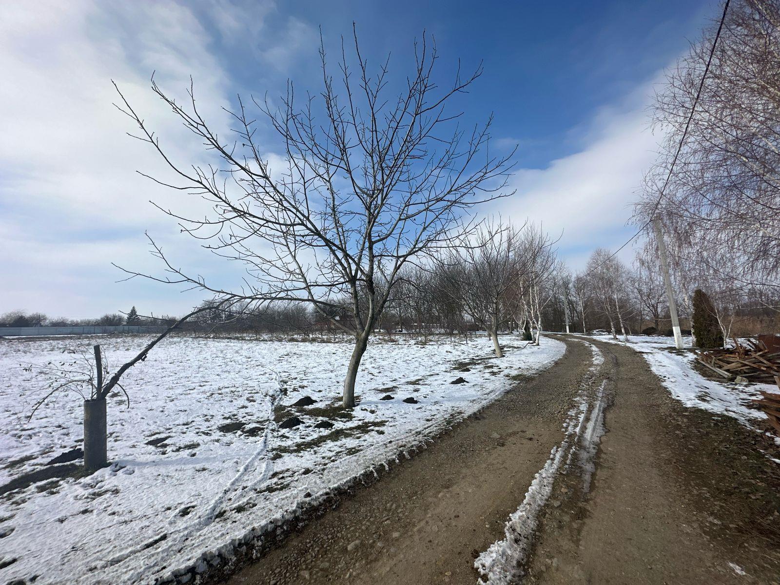 Фото №1: Земельный участок 5 сот. - Новотитаровская, Прикубанский внутригородской округ, ст Росинка, ул. Выгонная, 233