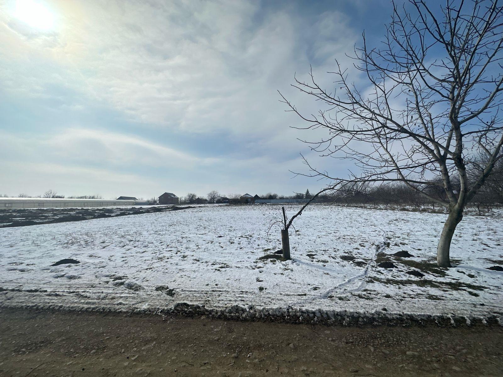 Фото №2: Земельный участок 5 сот. - Новотитаровская, Прикубанский внутригородской округ, ст Росинка, ул. Выгонная, 233