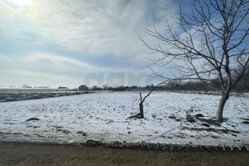 Фото №2: Земельный участок под ИЖС 5 сот. - Новотитаровская, ул. Выгонная, 233