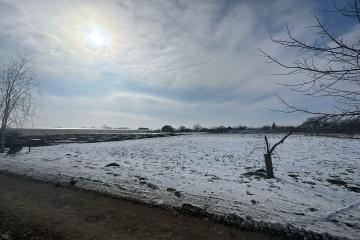 Фото №5: Земельный участок 5 сот. - Новотитаровская, ст Росинка, ул. Выгонная, 233