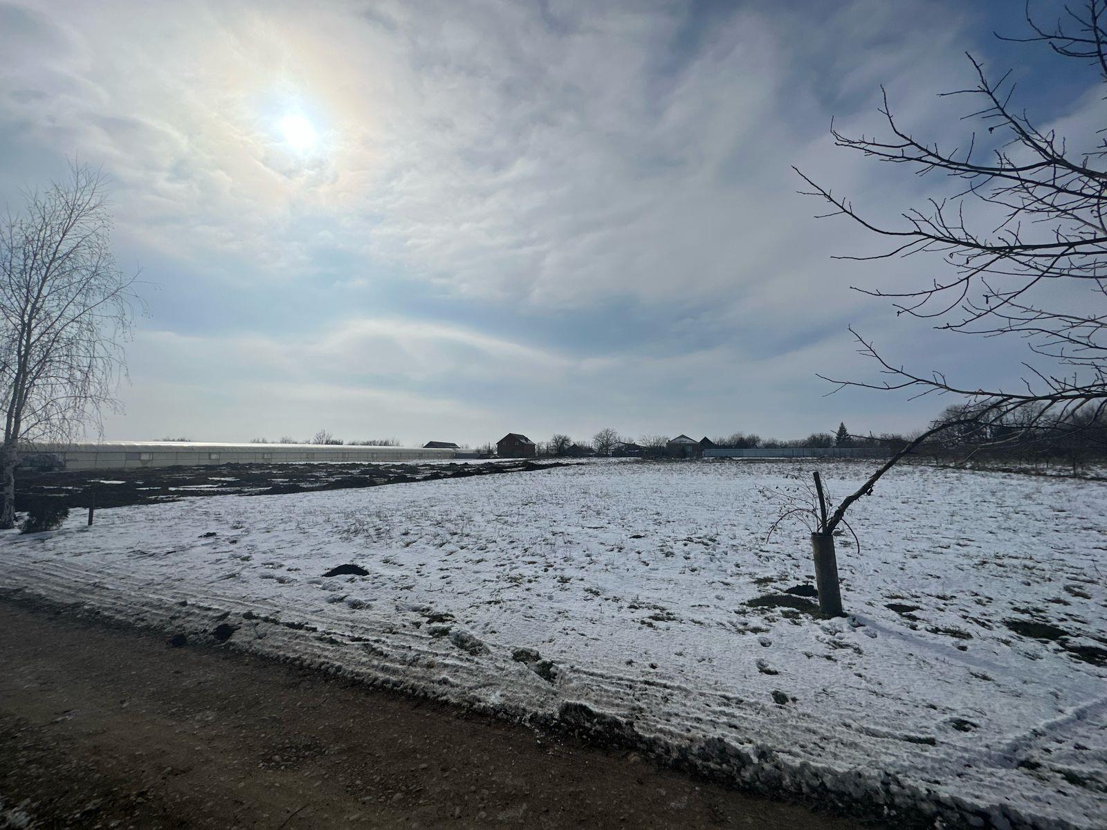Фото №5: Земельный участок 5 сот. - Новотитаровская, Прикубанский внутригородской округ, ст Росинка, ул. Выгонная, 233