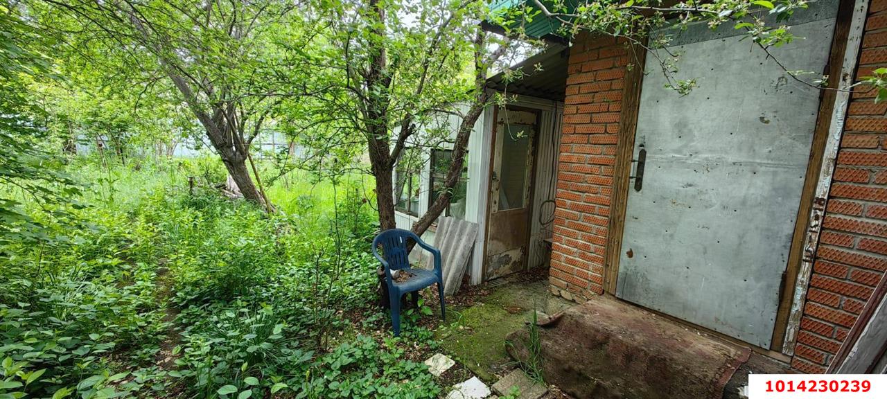 Фото №7: Земельный участок 4 сот. - Электрон, ул. Грушевая, 7