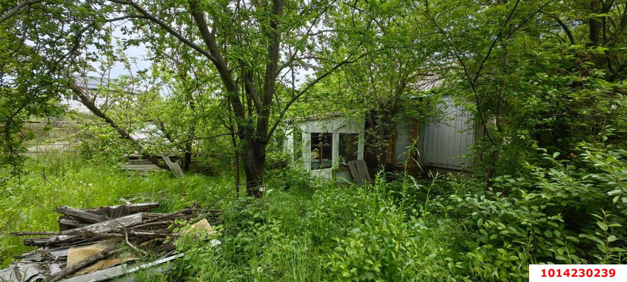 Фото №6: Земельный участок 4 сот. - Электрон, ул. Грушевая, 7