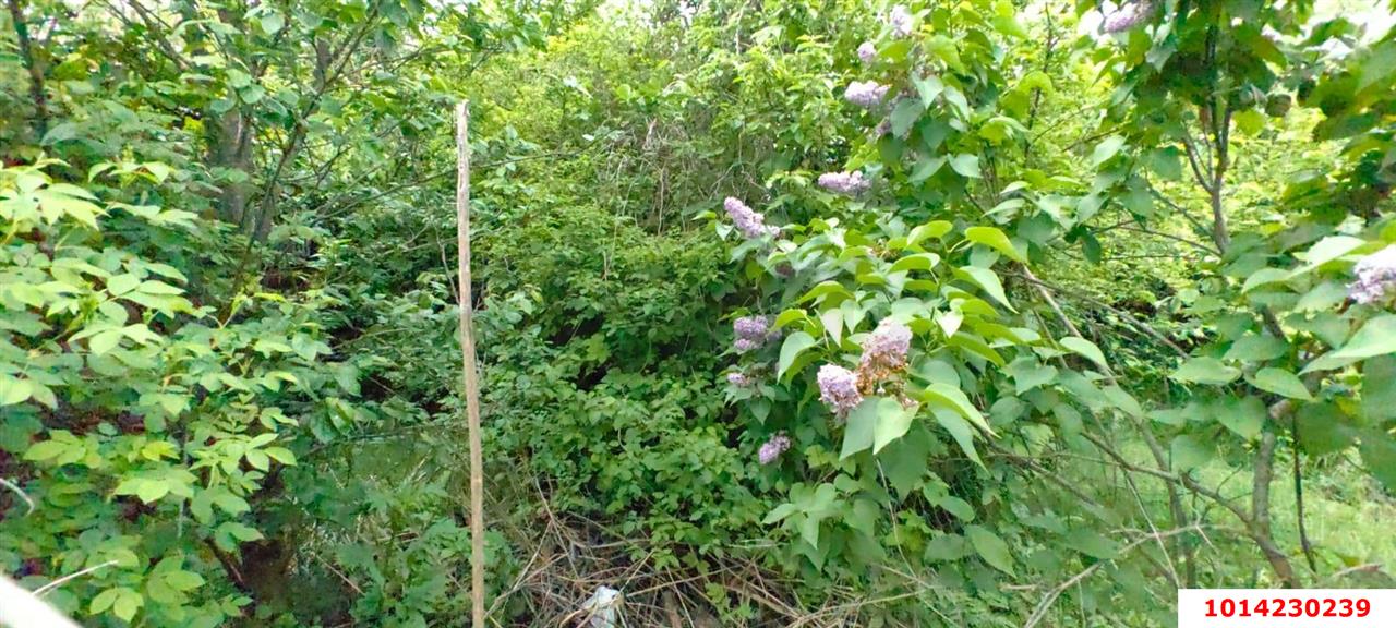 Фото №9: Земельный участок 4 сот. - Электрон, ул. Грушевая, 7