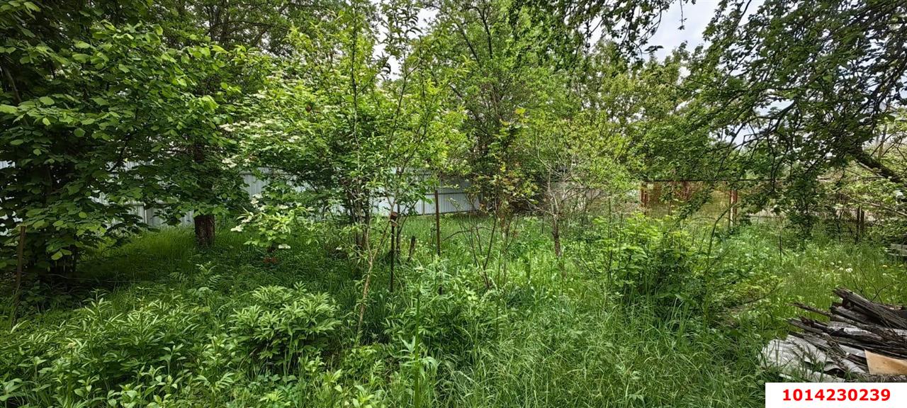 Фото №8: Земельный участок 4 сот. - Электрон, ул. Грушевая, 7