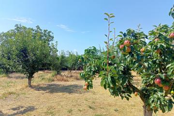 Фото №1: Земельный участок 10 сот. - Водный, мкр. 40 лет Победы, ул. Краснодарская, 30