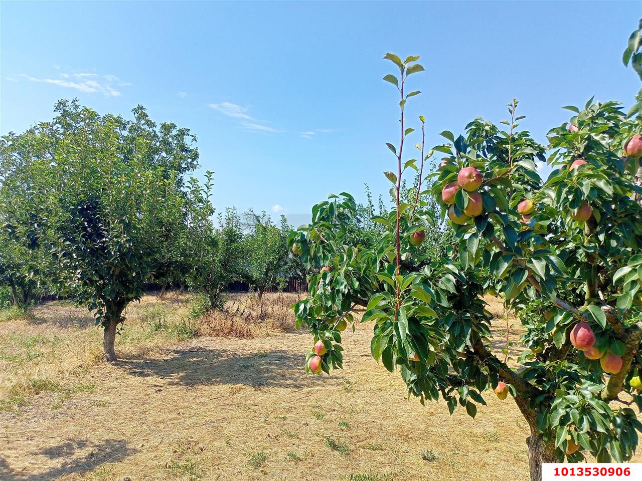Фото №1: Земельный участок 10 сот. - Водный, Прикубанский внутригородской округ, мкр. 40 лет Победы, ул. Краснодарская, 30
