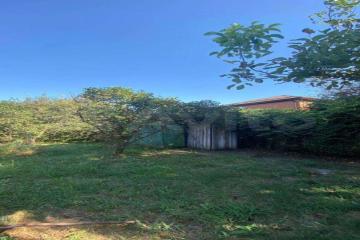 Фото №1: Земельный участок 6 сот. - СНТ Северное, мкр. Прикубанский внутригородской округ, ул. Вишнёвая, 154