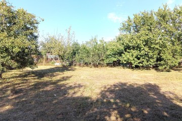 Фото №4: Участок садоводство 4 сот. - СНТ Автомобилист, мкр. Прикубанский внутригородской округ, ул. Центральная, 332