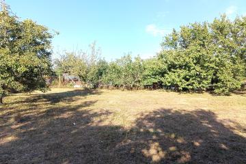 Фото №4: Земельный участок 4 сот. - СНТ Автомобилист, мкр. Прикубанский внутригородской округ, ул. Центральная, 332