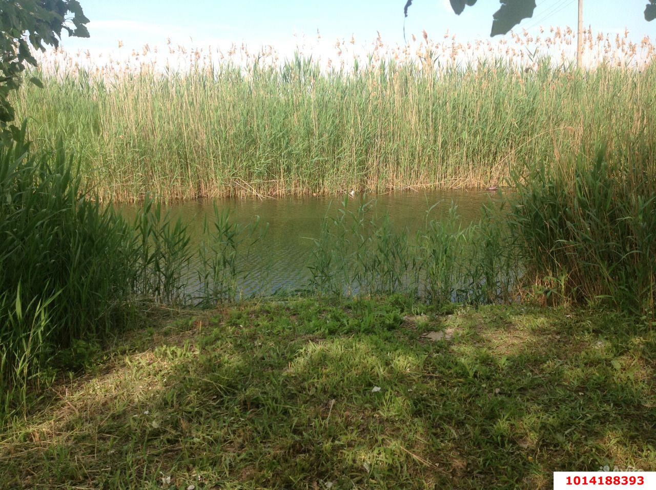 Фото №2: Коммерческая земля 57 сот. - Гривенская, ул. Советская, 17