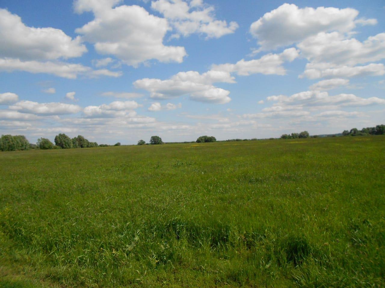 Фото №1: Коммерция 57 м² - Гривенская, мкр. Карасунский внутригородской округ, ул. Советская, 17