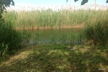 Фото №2: Коммерция 57 м² - Гривенская, мкр. Карасунский внутригородской округ, ул. Советская, 17