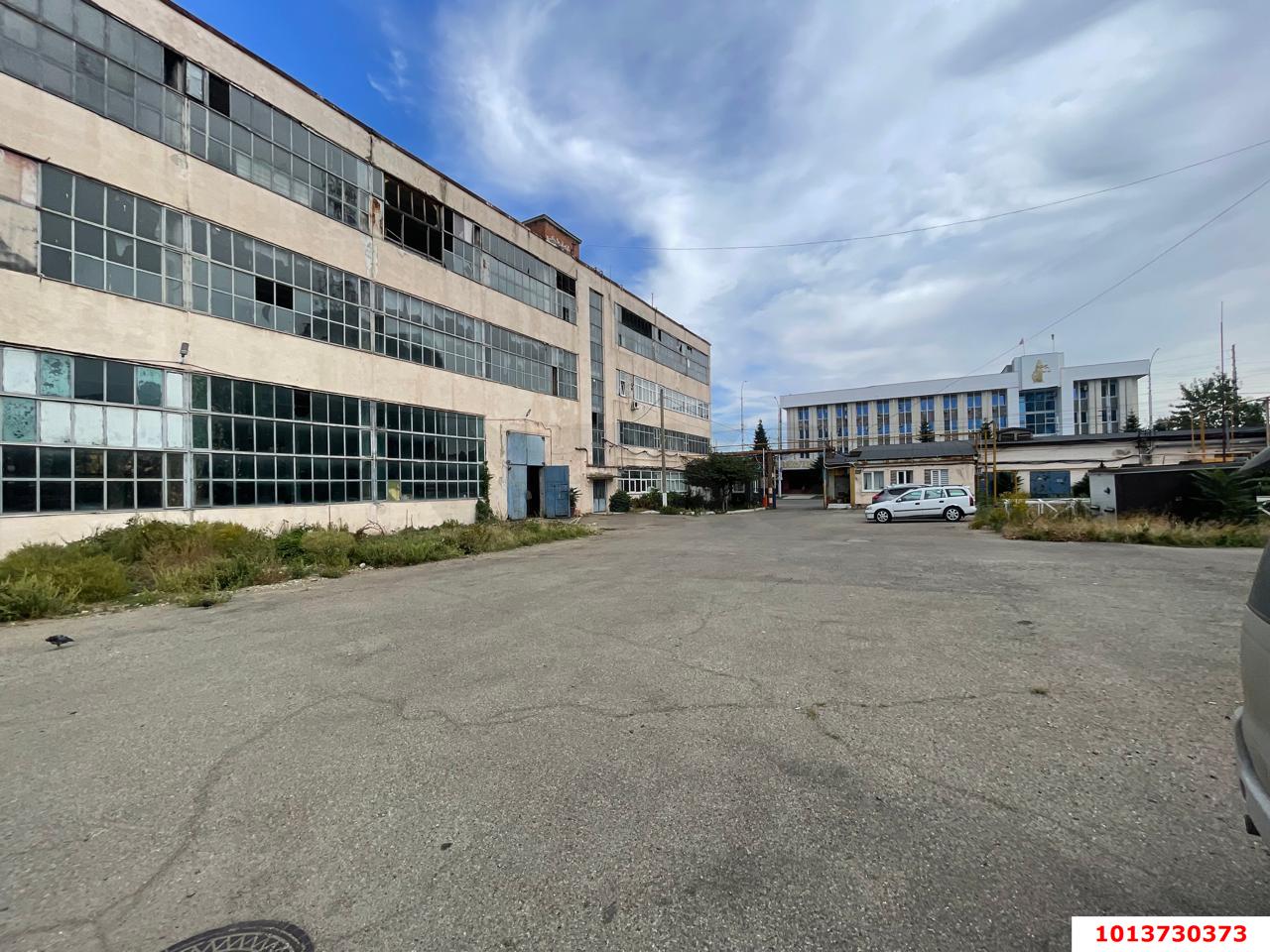 Фото №3: Торговое помещение 5000 м² - Майкоп, Центр, ул. Жуковского, 31/1