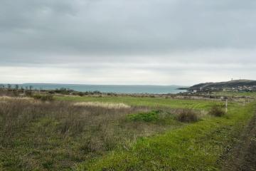 Фото №1: Земельный участок 11.98 сот. - Горняк, п. Лекраспром, ул. Александровская, 158