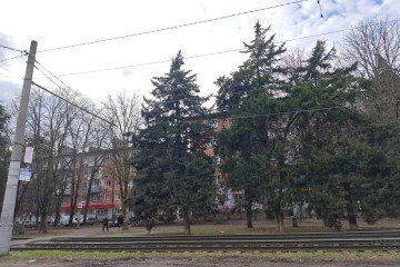 Фото №5: 1-комнатная квартира 27 м² - Краснодар, мкр. Славянский, ул. имени Доватора, 73