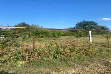 Фото №5: Земельный участок 6 сот. - Новотитаровская, ул. Революционная