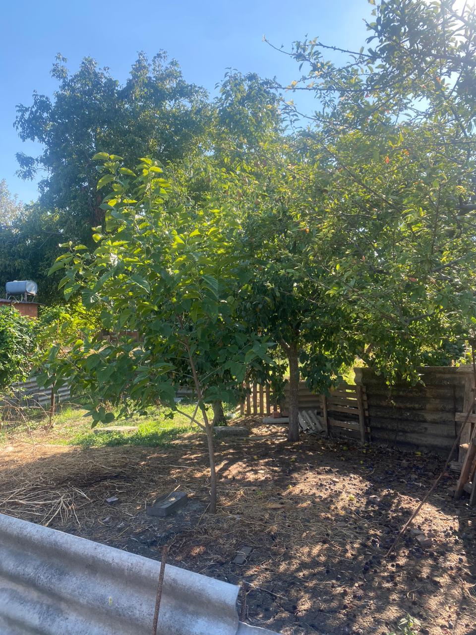 Фото №2: Земельный участок 6 сот. - Новотитаровская, ул. Революционная