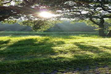 Фото №3: Земельный участок 15 сот. - Зазулин, мкр. Карасунский внутригородской округ, ул. Майкопское шоссе, 77