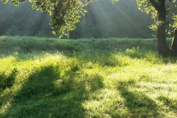 Фото №3: Земельный участок под ИЖС 15 сот. - Зазулин, ул. Майкопское шоссе, 77