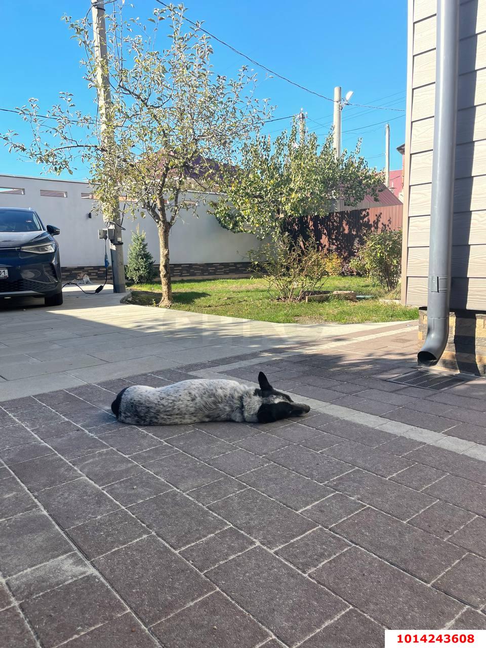 Фото №17: Дом 199 м² + 4.55 сот. - Новая Адыгея, ст Заречное, ул. Луговая, 40