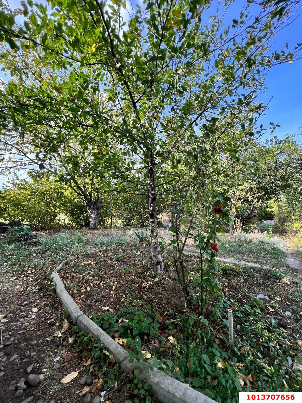 Фото №14: Дом 44 м² + 8 сот. - садовое некоммерческое товарищество Авиатор, мкр. Прикубанский внутригородской округ, ул. Тенистая