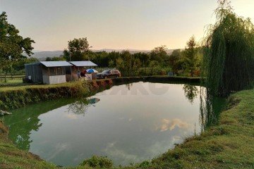 Фото №1: Личное подсобное хозяйство 60 сот. - Новокрымский, ул. Пионерская, 26