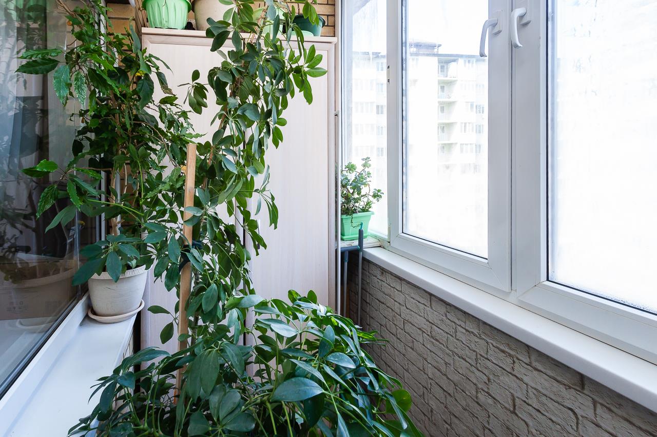 Фото №2: 1-комнатная квартира 41 м² - Краснодар, Прикубанский внутригородской округ, Завод Радиоизмерительных Приборов, мкр. Музыкальный, ул. имени Сергея Есенина, 94