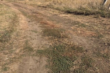 Фото №5: Земельный участок под ИЖС 200 сот. - Копанской, мкр. Прикубанский внутригородской округ, 