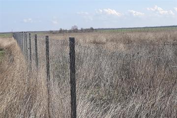 Фото №2: Земельный участок 150 сот. - Натухай, ул. Хакурате